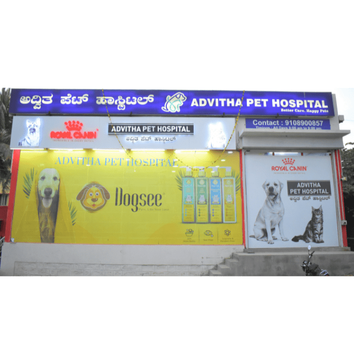 Pet hospital Pet Clinic Dog Hospital Advitha Pet Hospital